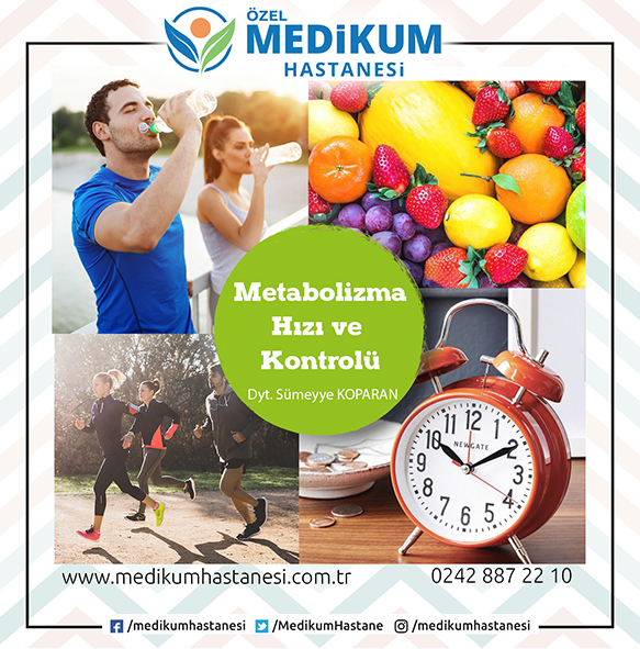 Metabolizma Hızı ve Kontrol